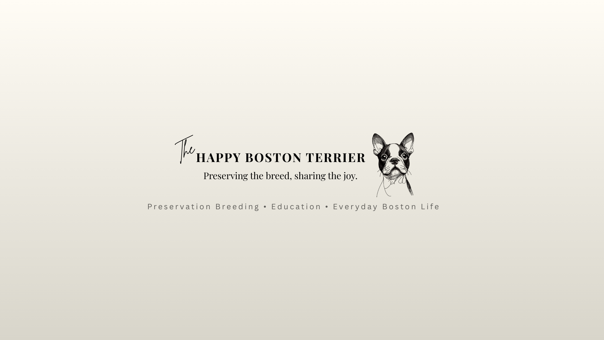 The Happy Boston Terrier